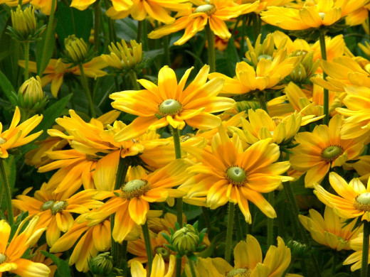 423319 (a): :1600x1200